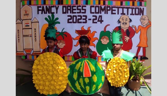 Fancy Dress Competition