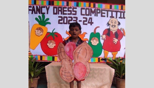 Fancy Dress Competition