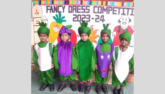 Fancy Dress Competition