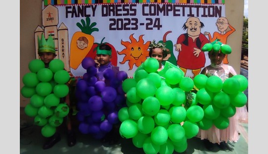Fancy Dress Competition