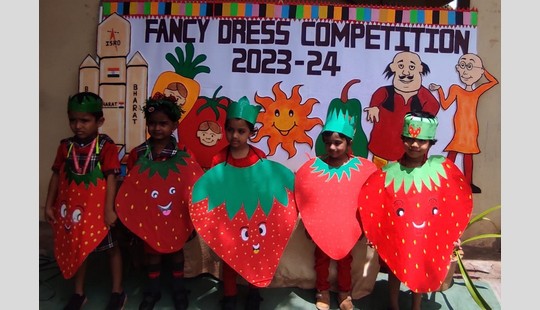 Fancy Dress Competition