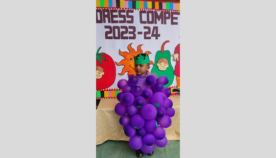 Fancy Dress Competition