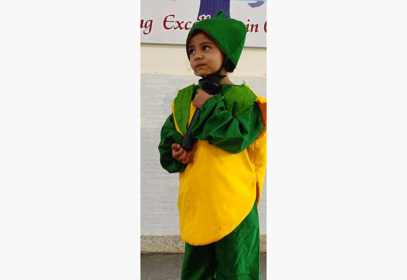 Fancy Dress Competition