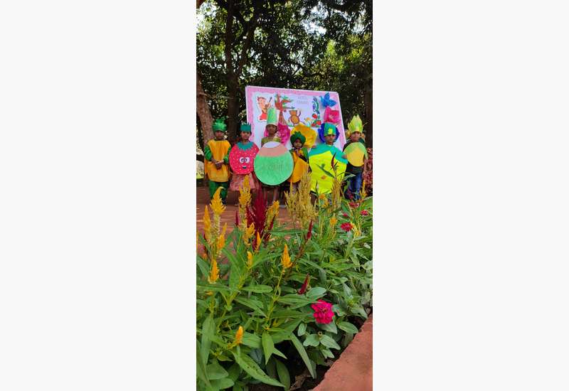 Fancy Dress Competition