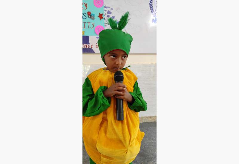 Fancy Dress Competition