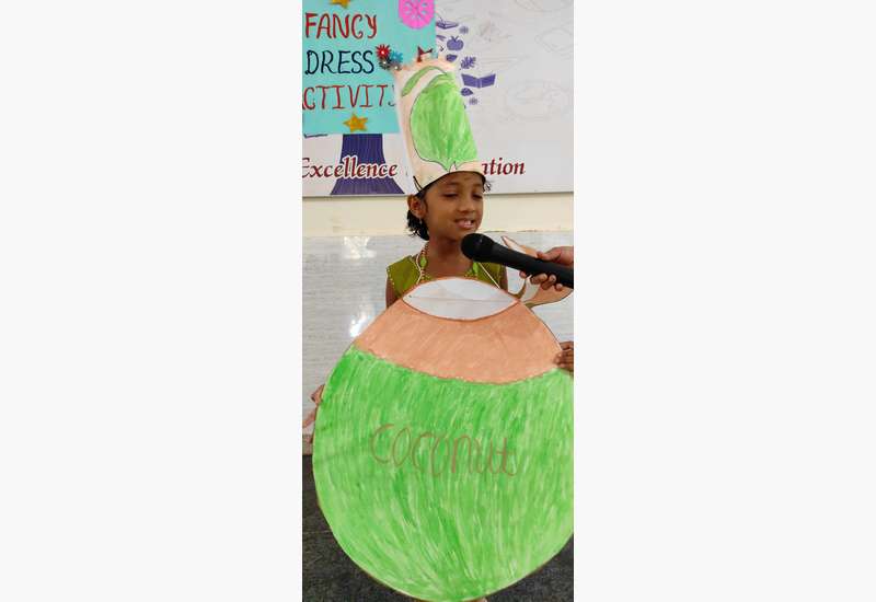 Fancy Dress Competition