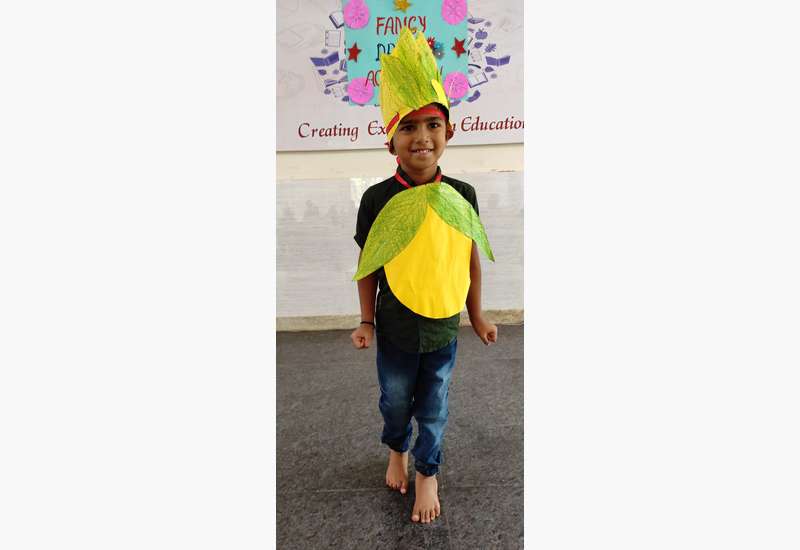 Fancy Dress Competition